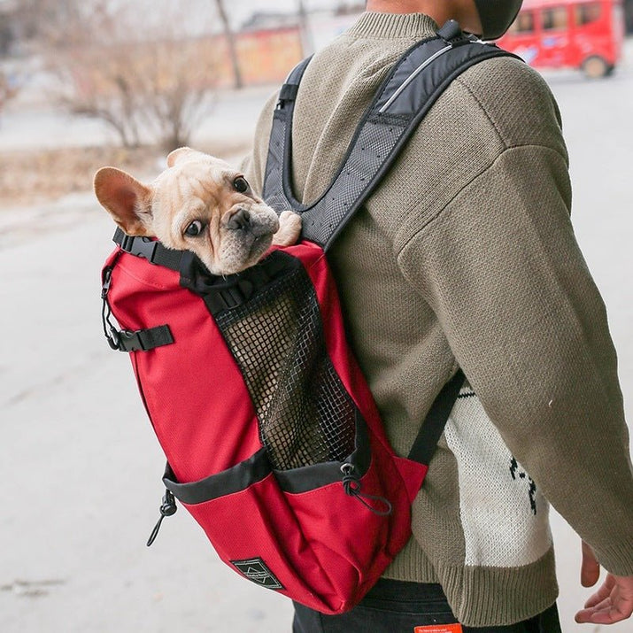 #petstroller #dogcarrierbackpack #backpack #petbackpack